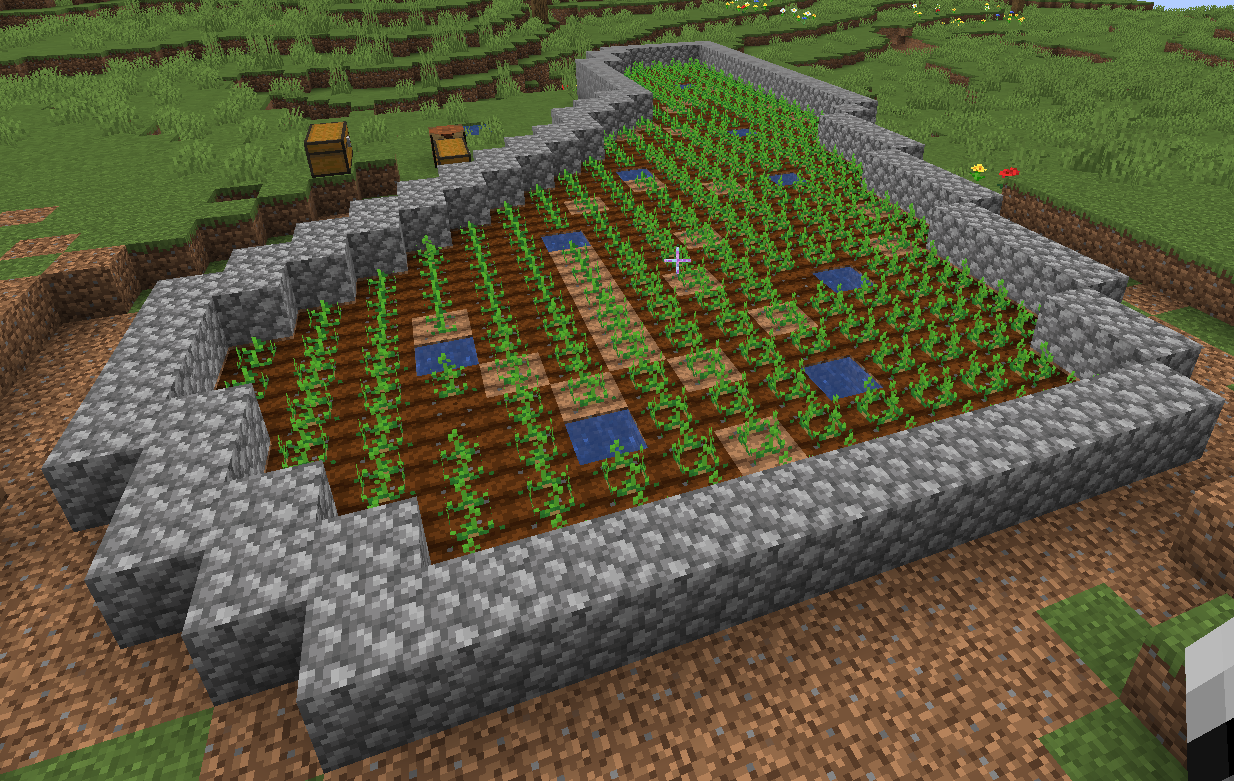 Farm